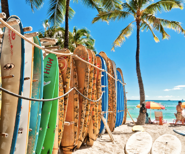 SURF,BUGGY & YOGA